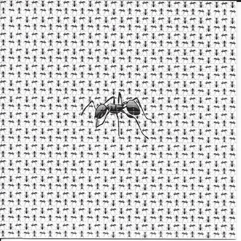 Муравьи животное психоделическ – обзор и цена Ink Blotter Paper